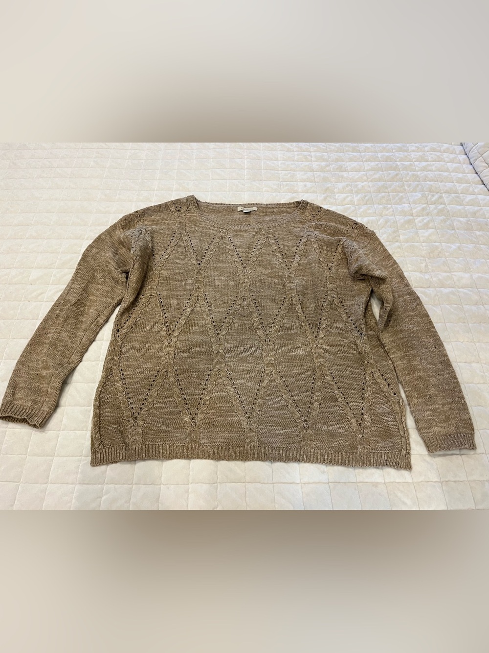 Cozy Casual women’s plus-size Sweater in Taupe